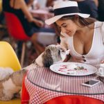 寵物友善餐廳 牌照申請